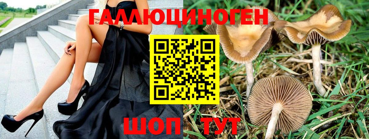 Псилоцибиновые грибы прущие грибы  Вход с VPN  Кириши 