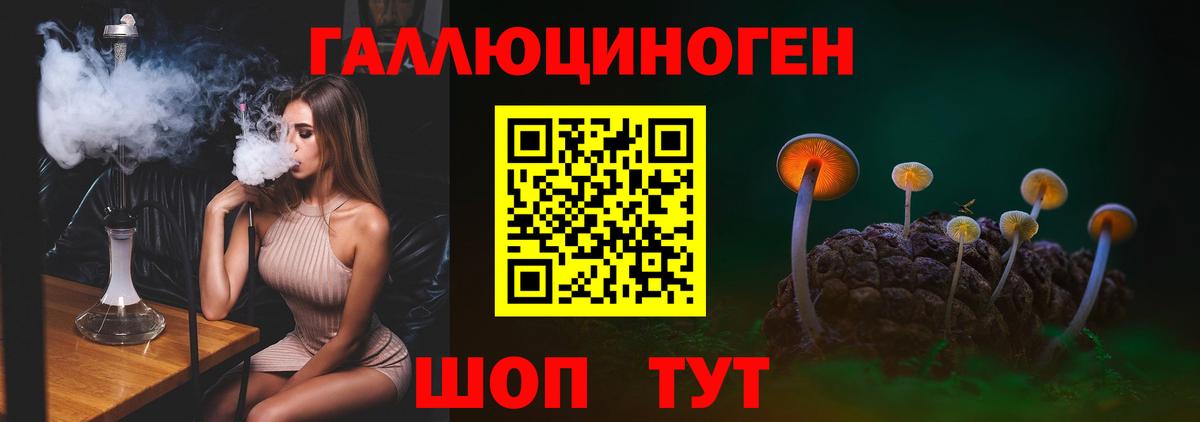 Псилоцибиновые грибы Psilocybe Кириши